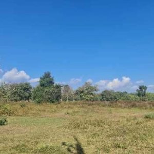 出售地皮-泰国-清迈-1388-平方米-71.66-01