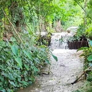 出售地皮-泰国-清迈-142400-平方米-0-01