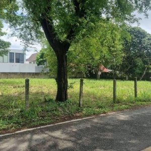 出售地皮-泰国-清迈-1440-平方米-471.43-01