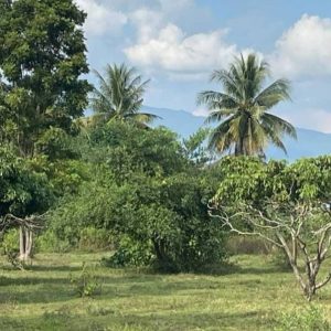 出售地皮-泰国-清迈-14400-平方米-0-01