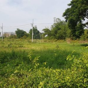 出售地皮-泰国-清迈-14596-平方米-63.43-01