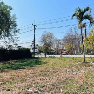 出售地皮-泰国-清迈-1528-平方米-0-01