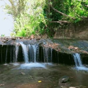 出售地皮-泰国-清迈-1544-平方米-34.43-01