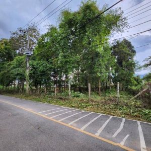 出售地皮-泰国-清迈-1552-平方米-486.03-01