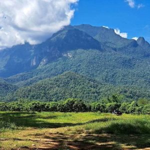 出售地皮-泰国-清迈-1600-平方米-0-01