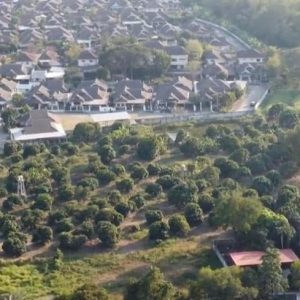 出售地皮-泰国-清迈-1600-平方米-117.86-01