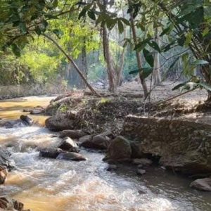 出售地皮-泰国-清迈-1600-平方米-310.72-01