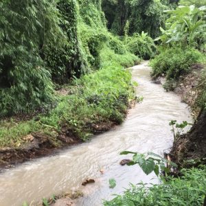 出售地皮-泰国-清迈-1600-平方米-42.66-01