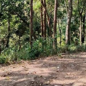 出售地皮-泰国-清迈-1600-平方米-47.15-01