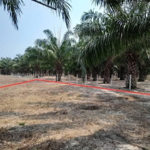 出售地皮-泰国-清迈-1600-平方米-61.09-01