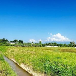 出售地皮-泰国-清迈-1600-平方米-62.15-01