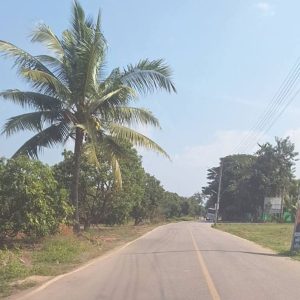 出售地皮-泰国-清迈-1600-平方米-63.23-01