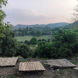 出售地皮-泰国-清迈-16000-平方米-0-01