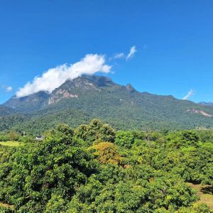 出售地皮-泰国-清迈-16000-平方米-12.66-01