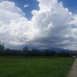 出售地皮-泰国-清迈-16108-平方米-63.86-01