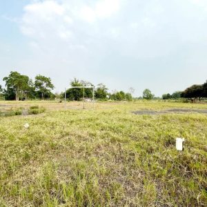 出售地皮-泰国-清迈-1680-平方米-0-01