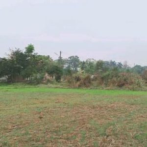 出售地皮-泰国-清迈-17600-平方米-53.58-01