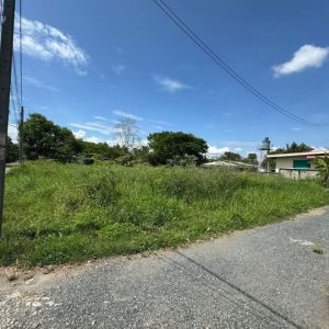 出售地皮-泰国-清迈-1876-平方米-0-01