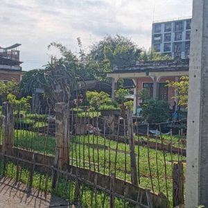 出售地皮-泰国-清迈-1880-平方米-711.26-01