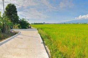 出售地皮-泰国-清迈-1912-平方米-0-01