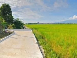 出售地皮-泰国-清迈-1912-平方米-0-01