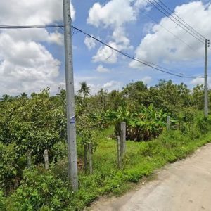 出售地皮-泰国-清迈-1924-平方米-0-01