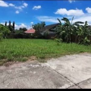 出售地皮-泰国-清迈-200-平方米-0-01