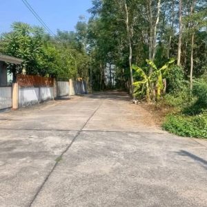 出售地皮-泰国-清迈-200-平方米-101.15-01