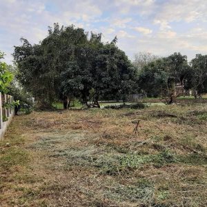 出售地皮-泰国-清迈-2018-平方米-135.95-01