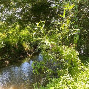 出售地皮-泰国-清迈-2072-平方米-57.95-01