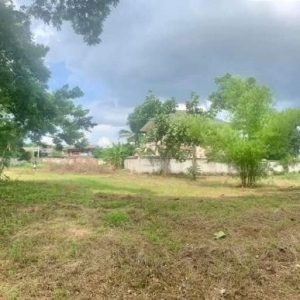 出售地皮-泰国-清迈-2132-平方米-88.46-01