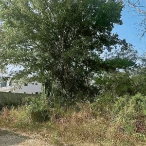 出售地皮-泰国-清迈-2144-平方米-0-01