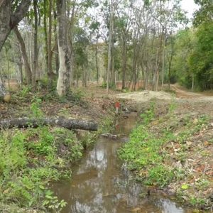 出售地皮-泰国-清迈-22400-平方米-0-01