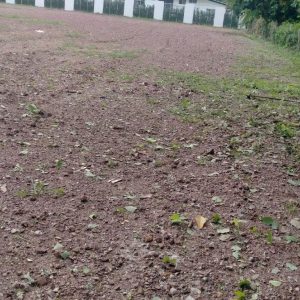 出售地皮-泰国-清迈-2252-平方米-89.83-01