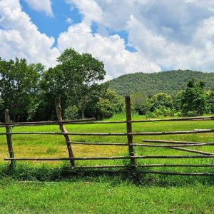 出售地皮-泰国-清迈-2312-平方米-51.92-01