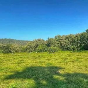 出售地皮-泰国-清迈-2348-平方米-53.89-01