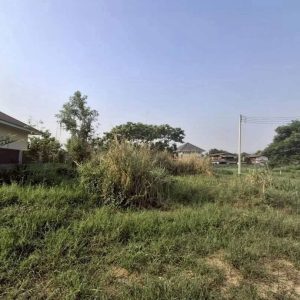 出售地皮-泰国-清迈-236-平方米-0-01