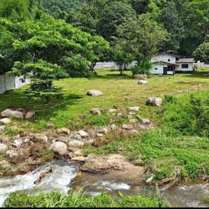 出售地皮-泰国-清迈-2364-平方米-123.29-01