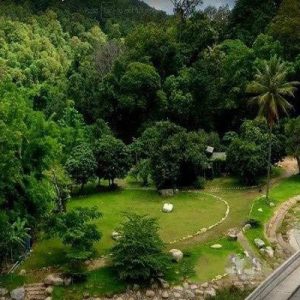 出售地皮-泰国-清迈-2364.4-平方米-85.58-01