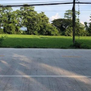 出售地皮-泰国-清迈-23928-平方米-79.4-01