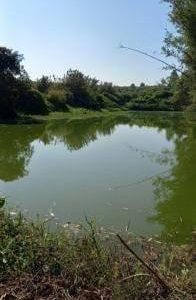 出售地皮-泰国-清迈-240.8-平方米-5410.55-01