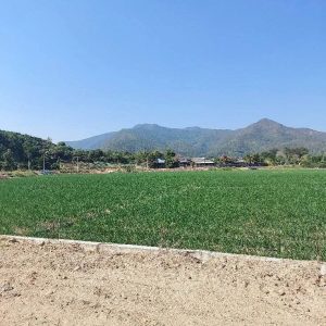 出售地皮-泰国-清迈-2400-平方米-0-01