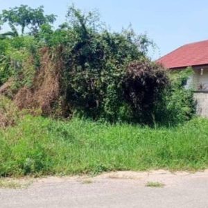 出售地皮-泰国-清迈-252-平方米-175.52-01