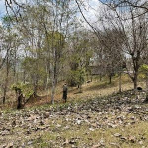 出售地皮-泰国-清迈-25272-平方米-11.69-01