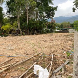 出售地皮-泰国-清迈-260-平方米-0-01