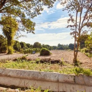 出售地皮-泰国-清迈-2600-平方米-112.12-01