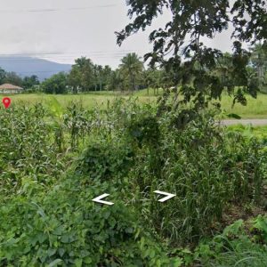 出售地皮-泰国-清迈-2604-平方米-214.29-01