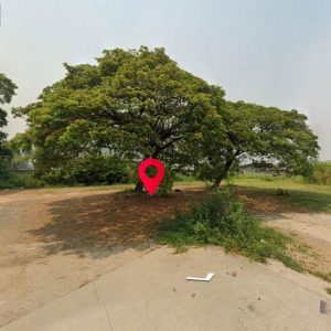 出售地皮-泰国-清迈-2712-平方米-557.15-01