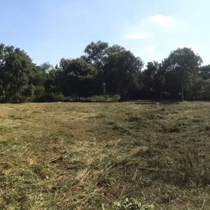 出售地皮-泰国-清迈-2720-平方米-441.2-01