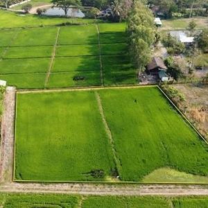 出售地皮-泰国-清迈-2852-平方米-0-01